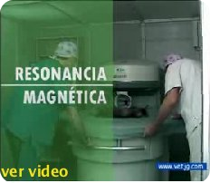 video resonancia magnetica veterinaria